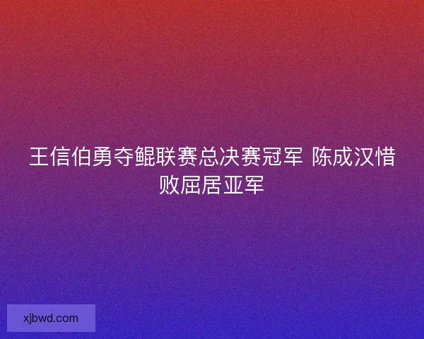 王信伯勇夺鲲联赛总决赛冠军 陈成汉惜败屈居亚军