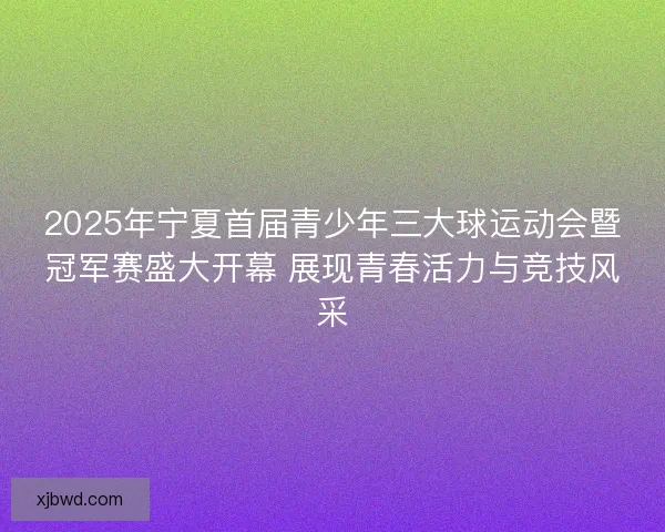 2025年宁夏首届青少年三大球运动会暨冠军赛盛大开幕 展现青春活力与竞技风采 2025年宁夏首届青少年三大球运动会暨冠军赛盛大开幕 展现青春活力与竞技风采